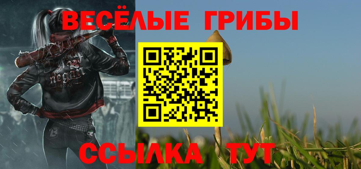 Галлюциногенные грибы GOLDEN TEACHER Ирбит