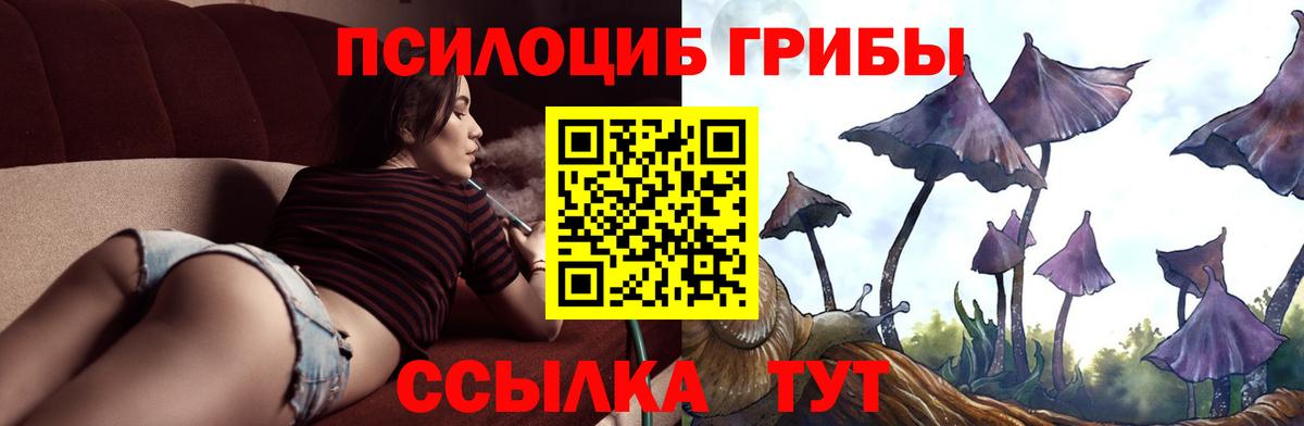 Псилоцибиновые грибы Magic Shrooms  Вход с VPN  Ирбит 